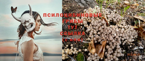 стафф Волосово
