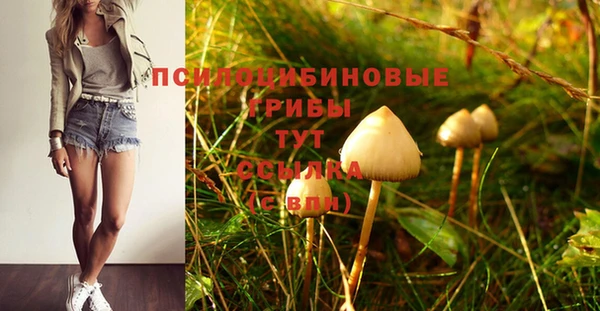 стафф Волосово