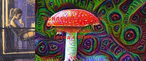 амф Володарск